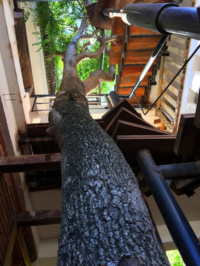 Eco Hotel Gota Del Chaco Villamontes 外观 照片